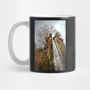 St. Audries Waterfall Mug